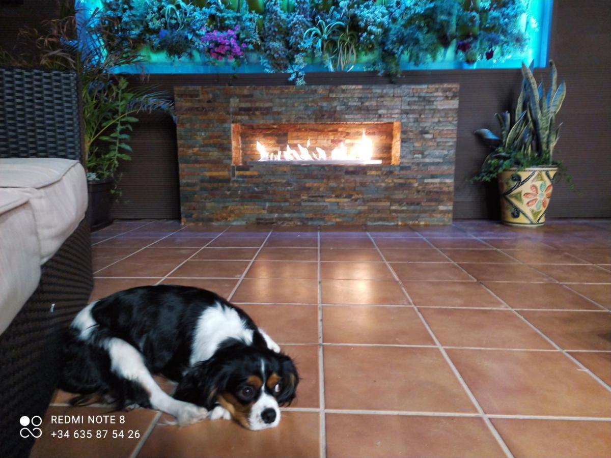 3 Bdr House Near La Zenia Private Lounge Terraces, Fire Places, Bbq, Kitchen, Parking Orihuela Exteriér fotografie