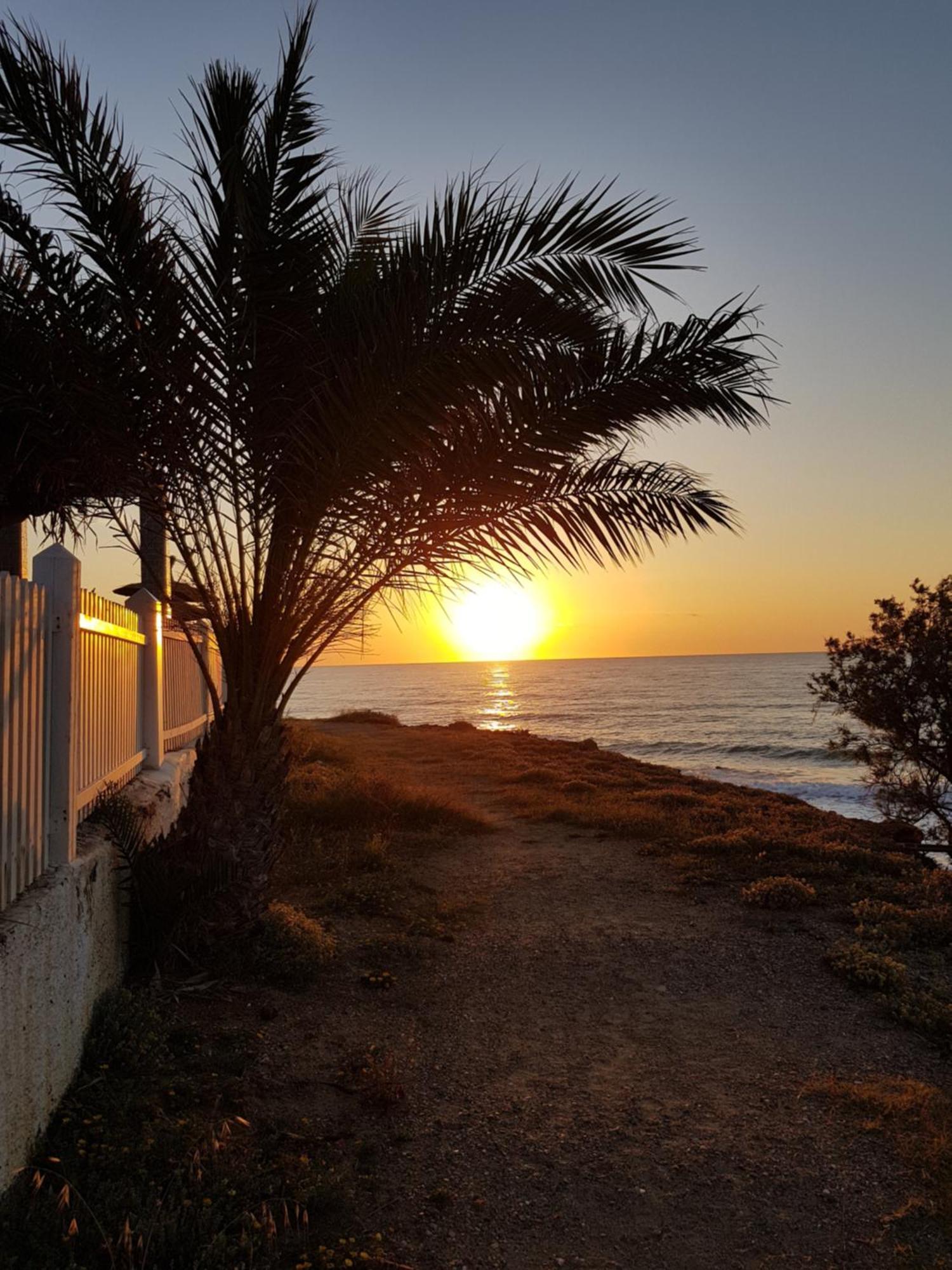 3 Bdr House Near La Zenia Private Lounge Terraces, Fire Places, Bbq, Kitchen, Parking Orihuela Exteriér fotografie